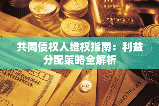 武汉共同债权人维权指南：利益分配策略全解析